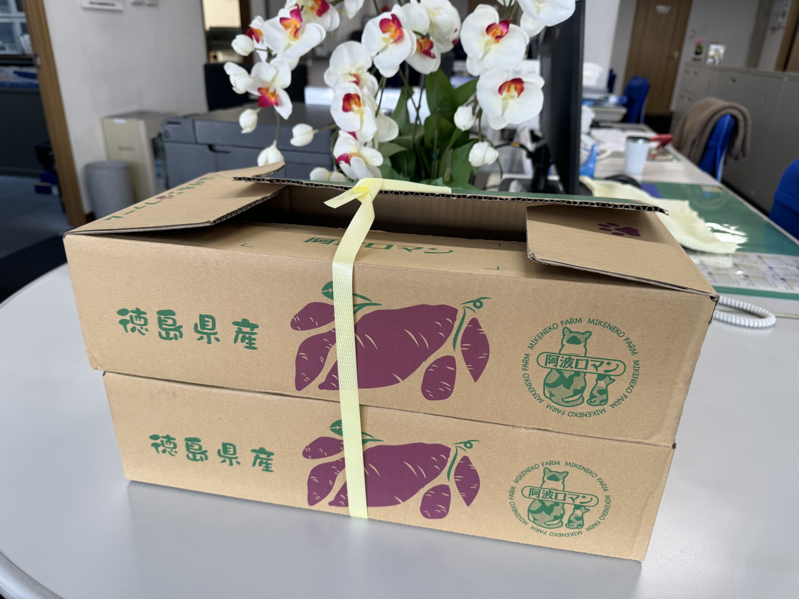 高校で作った美術作品 アジアアロワナ彫刻 (さつまいもカラー) 美唄産 